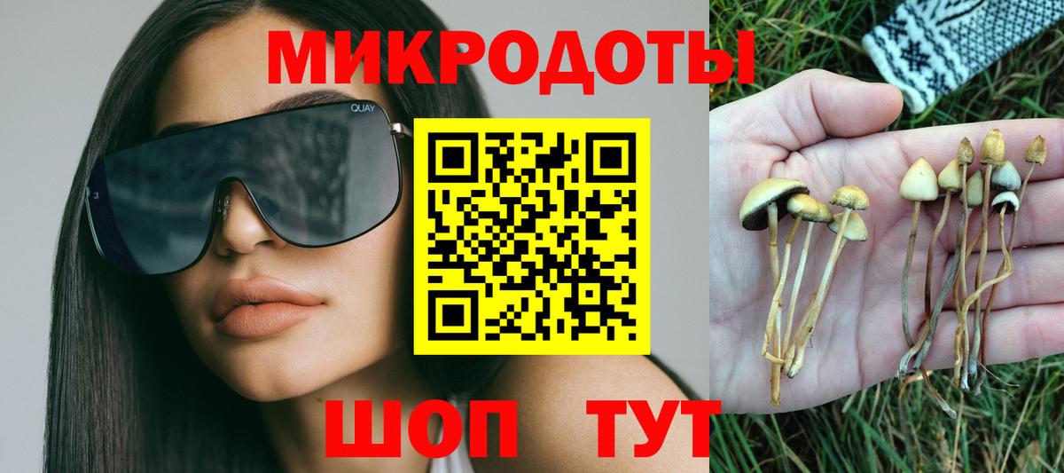 Псилоцибиновые грибы Psilocybine cubensis  где продают наркотики  Мыски  Вход с VPN 